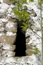 An old irish stone wall window Royalty Free Stock Photo