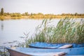 An old iron boat by the river. Reeds on the river under the sun. summer landscape with boats Royalty Free Stock Photo