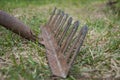 The old iron garden rake with a wooden handle Royalty Free Stock Photo