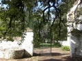 Old iron gate and one ombu tree