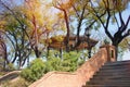 An old iron gazebo in an autumn Park Royalty Free Stock Photo