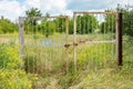 Old iron rusty gate closed in the countryside with grass and trees on a summer day Royalty Free Stock Photo