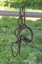 Old iron shackles, rusty shackles on a natural background Royalty Free Stock Photo