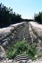 A old irrigation ditch nice and dry Royalty Free Stock Photo