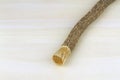 Old islamic traditional natural toothbrush Miswak or Siwak. (Salvadora persica)