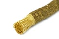 Old islamic traditional natural toothbrush Miswak or Siwak. (Salvadora persica) on white background