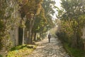 Old Istanbul street on a sunny day