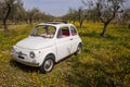 Old Italian Fiat 500 car parked in a flowery meadow in Lanciano, Italy