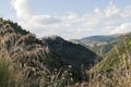 An old Italian hamlet. Royalty Free Stock Photo