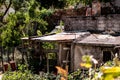 Old italian house in disrepair with garden abandoned Royalty Free Stock Photo