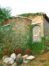 Old italian house with ivy plant