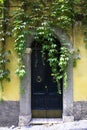 Old italian vintage door in Rome, Italy