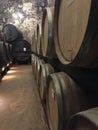 A old italian wine cellar ,filled with huge wooden wine barrels, surrounded by anicent brick walls , located in the beautiful town