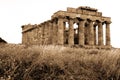 Old Italy, Greek temple in Selinunte Royalty Free Stock Photo