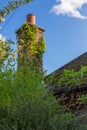 Old, ivy covered chimney Royalty Free Stock Photo