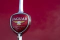 Old Jaguar car logo Royalty Free Stock Photo