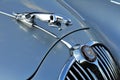 An old jaguar car symbol
