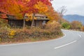 Old japan house style with maple tree Royalty Free Stock Photo