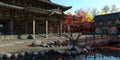 Old japanese palace in the fall 3d illustration Royalty Free Stock Photo