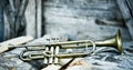 an old jazz trumpet on a pile of wood Royalty Free Stock Photo