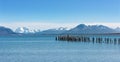 Old jetty with king cormorants at Ultima Esperanza Fjord near Puerto Natales, Patagonia, Chile Royalty Free Stock Photo