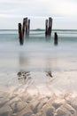 Old jetty piles at St. Clair Beach, Dunedin, New Zealand