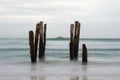 Old jetty piles at St. Clair Beach