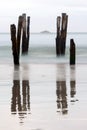 Old jetty piles at St. Clair Beach