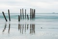 Old jetty piles at St. Clair Beach