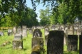 Old Jewish cementery with grave stones near Bedzin city, Czeladz city, southern Poland