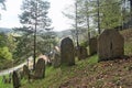 Old Jewish cemetery on a slope of a hill in Muszyna, southern Poland Royalty Free Stock Photo