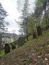 Old Jewish cemetery on a slope of a hill in Muszyna, southern Poland Royalty Free Stock Photo