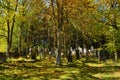 Old Jewish cemetary in the autumn forest, Europe