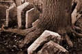 Old Jewish cemetery Royalty Free Stock Photo