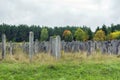 Old Jewish cemetery, Brody, Ukraine Royalty Free Stock Photo