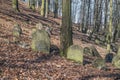 Old Jewish cemetery in BÃâ¢dzin, Poland Royalty Free Stock Photo