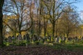 Historic Jewish cemetery in the city of Lodz, Poland Royalty Free Stock Photo