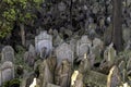 old jewish cemetery