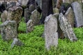 old jewish cemetery