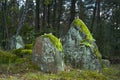 Old Jewish cemetery in the forest. The cemetery is located in Poland. Unreadable Yiddish text inscriptions on the stones.