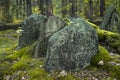 Old Jewish cemetery in the forest. The cemetery is located in Poland. Unreadable Yiddish text inscriptions on the stones. Royalty Free Stock Photo