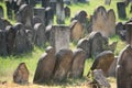 Old Jewish cemetery in Holesov Royalty Free Stock Photo