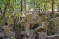 Old Jewish cemetery in Josefov, Prague, Czech Republic