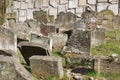 Old Jewish cemetery in Kazimierz Dolny, Poland Royalty Free Stock Photo