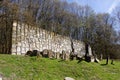 Old Jewish cemetery in Kazimierz Dolny, Poland Royalty Free Stock Photo