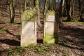 Old Jewish cemetery in Kazimierz Dolny, Poland Royalty Free Stock Photo