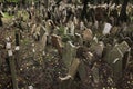 Old Jewish Cemetery in Prague, Czech Republic.