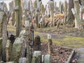 Old Jewish Cemetery from 1787, Prague Royalty Free Stock Photo