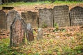 Old jewish cemetery in Trebic, Czech
