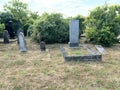 Old Jewish cemetery in Vukovar - Slavonia, Croatia / Staro ÃÂ¾idovsko groblje u Vukovaru - Slavonija, Hrvatska